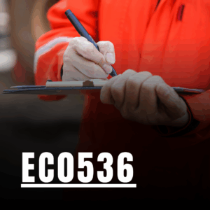 EC0536 | Auditoría de los Sistemas de Gestión del Riesgo