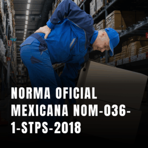 Norma Oficial Mexicana NOM-036-1-STPS-2018, Factores de Riesgo Ergonómico en el Trabajo-Identificación, Análisis, Prevención y Control. Parte 1:Manejo de Manual de Cargas (copia)